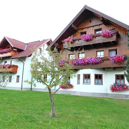 Pension Thorerhof Haus im Ennstal Exterior photo